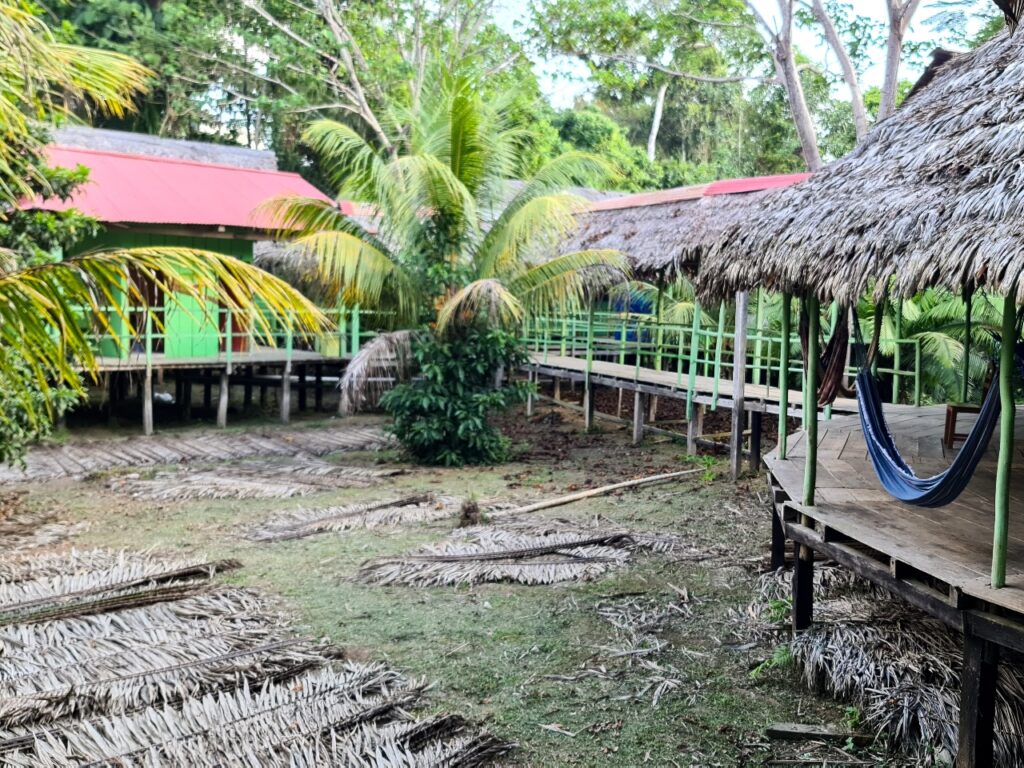 Lodge w dżungli - Amazonia