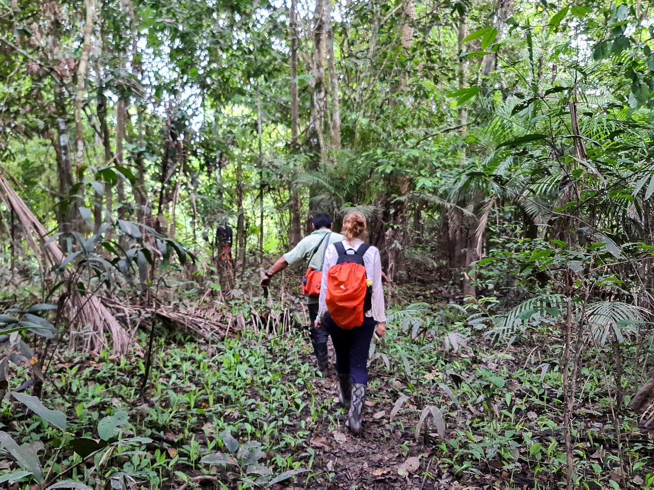 Trekking w dżungli