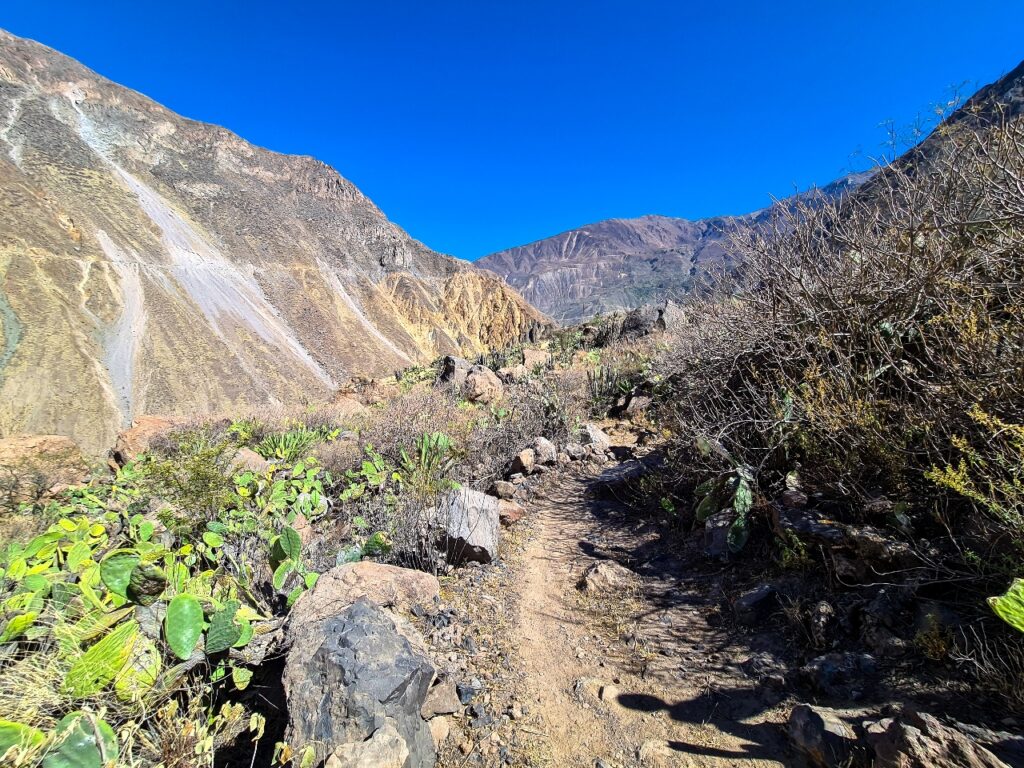 Kanion Colca - co zabrać na trekking?