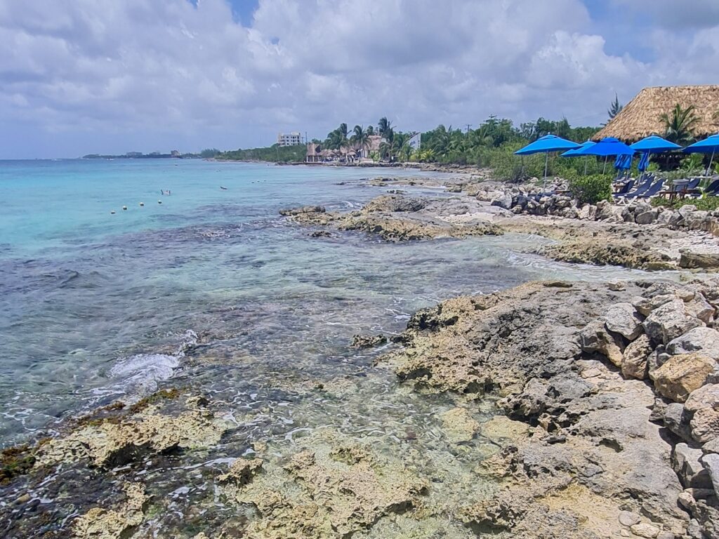 Rafa koralowa Cozumel