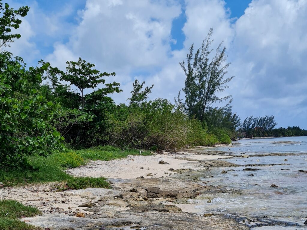 Pusta plaża Cozumel