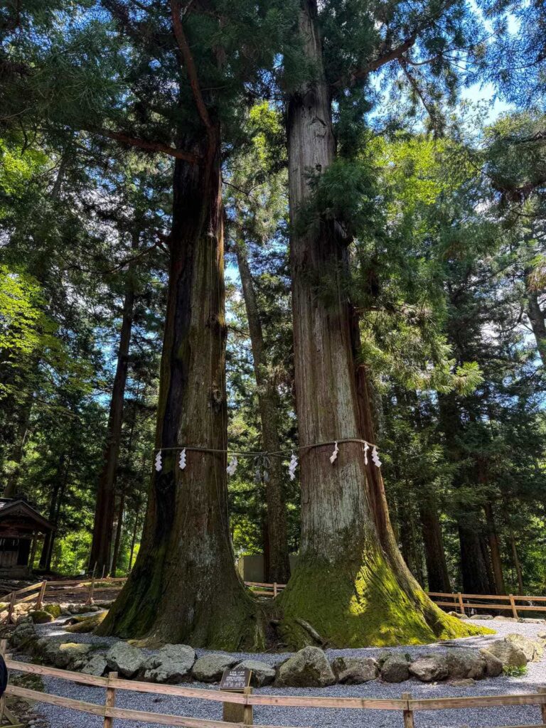 Kawaguchi Asama Shrine