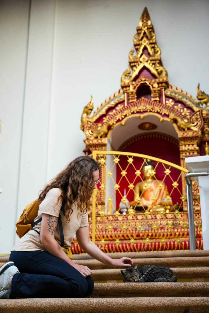 Młoda dziewczyna głaszcząca kota, na schodach w świątyni w Chiang Mai.