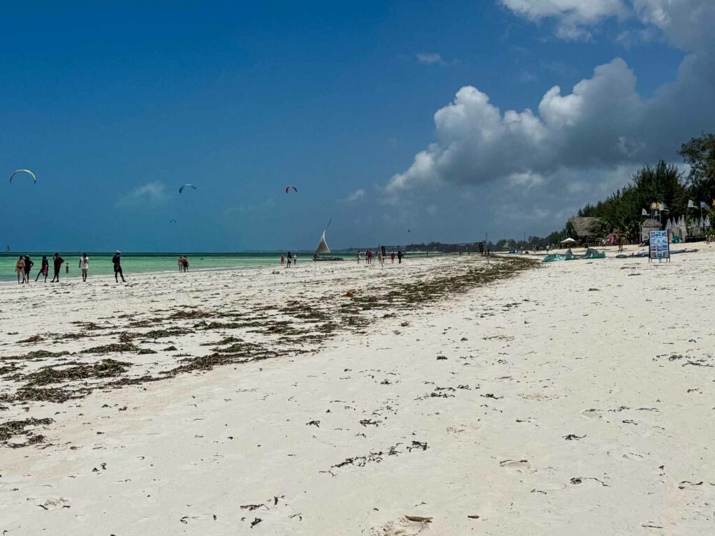 Plaża w Paje na Zanzibarze w Tanzanii.